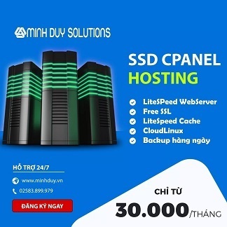 Pro SSD Hosting